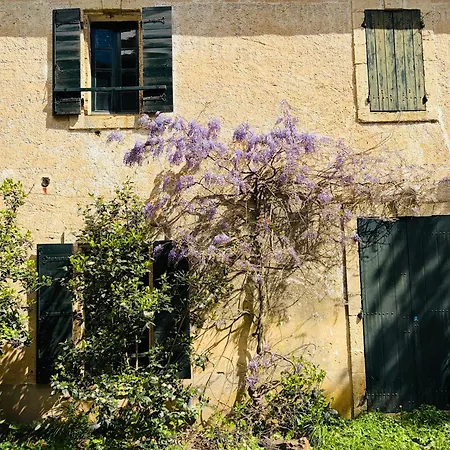 Maison *