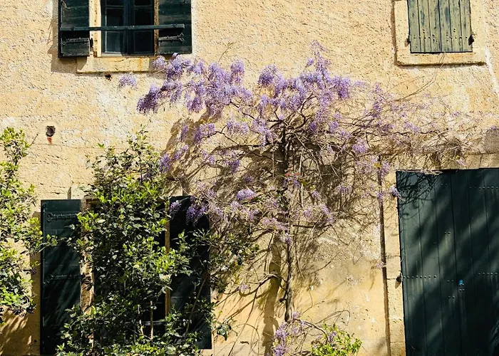 Maison *